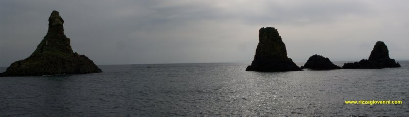 _3496.jpg