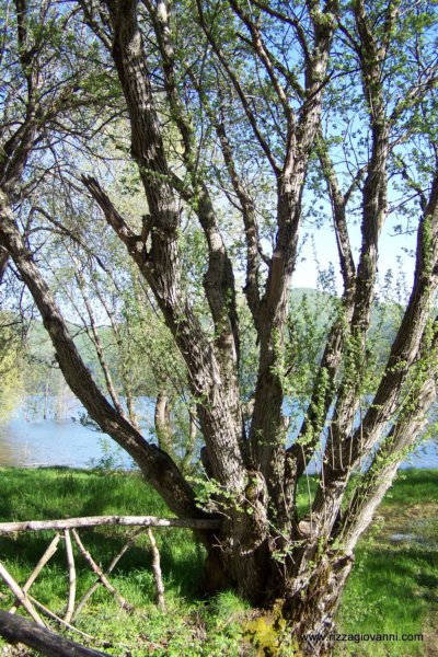 lagoarvolorica12.jpg