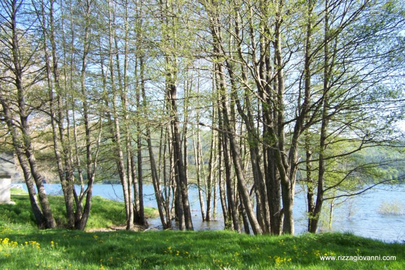 lagoarvolorica14.jpg