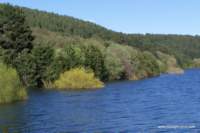 lagoarvolorica23_small.jpg