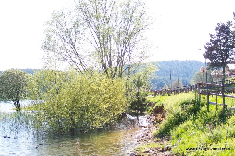 lagoarvolorica8.jpg